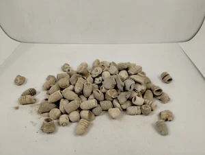 Mystery bag of 10 random bullets, Civil War Gettysburg relics **Please Read!** - Picture 1 of 8