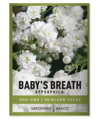 GARDENERS BASICS Baby's Breath Seeds