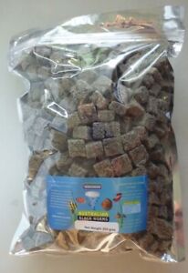 Australian Freeze Dried Blackworm 25 Grams. Best Price In The Uk. FREE SHIPPING!