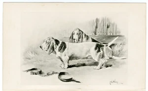 LIBRO ANTIGUO BASSET HOUND 1897 IMPRESIÓN ARTÍSTICA PERRO ARTISTA ARTHUR WARDLE - Imagen 1 de 1