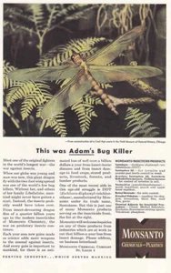 1946 Monsanto: This Was Adams Bug Killer Vintage Print Ad - Picture 1 of 1