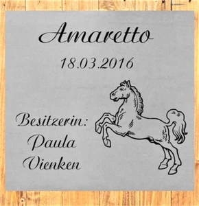 ID caja caballo escudo con grabado a petición acero inoxidable en 5 tamaños tablero de establo - Imagen 1 de 8