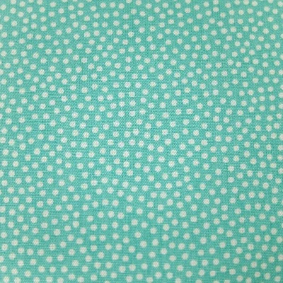 Baumwollstoff Meterware DOTTY  mint ab 50 x 147 cm Baumwolle  ÖkoTex Standard - Bild 1 von 3