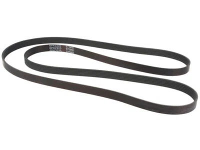 Cinturón multi costilla Dayco 29144QSRK 2004 2002 2003 para Chevrolet Venture 2001-2005 Foto 1 de 2