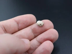 ANCIENT EGYPT , STEATITE SCARAB Very Small Extremely Rare - Picture 1 of 5