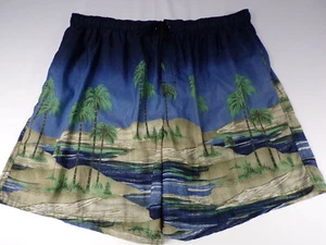 Costume da bagno uomo vintage Catalina Island Wear 2XL modello hawaiano 100% nylon  - Foto 1 di 6