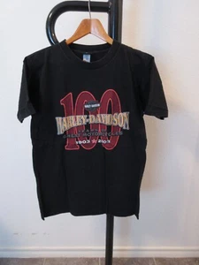 Harley-Davidson & verwandte (8) T-Shirts & (1) Poloshirt - Bild 1 von 24