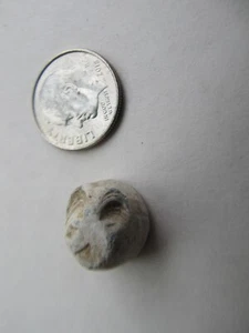 Rare Civil War CSA Enfield Musket Nipple Protector, Dug Fredericksburg Battle, 5 - Picture 1 of 3