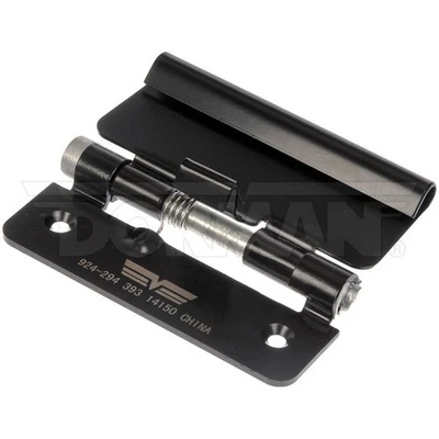 Pestillo de consola central Dorman 924-294 para modelos seleccionados de Ford Mercury 05-10 Foto 1 de 4