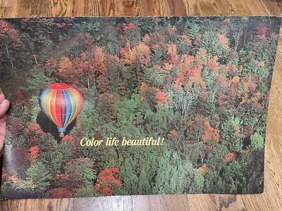 VTG HOT AIR BALLOON ARGUS POSTER ART 1982 COLOR LIFE BEAUTIFUL - Image 1 of 4