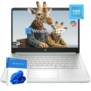 HP Laptop 14-dq6013dx 8GB-256GB UFS Win11Pro 14" HD N150 | Verde Salice - Foto 1 di 13