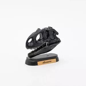Allosaurus Skull Mini Figure Dinosaur Mini Model Favorite - Picture 1 of 7