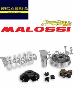 10421 - VARIATORE MALOSSI MULTIVAR 2000 HONDA 100 BALI - 100 SH - Picture 1 of 1
