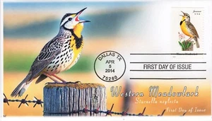 AO-4882-2, 2014, Songbirds, First Day Cover, Add-on Cachet, Standard Postmark, W - Picture 1 of 1