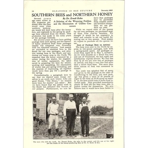 Southern Bees and Northern Honey Dr. Ernest Kohn 2 Page Article 1926 AG3-9 - Picture 1 of 4