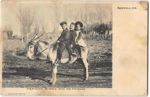 ROSWELL, NM Kids on Mexican Burro Pecos Valley Drug Co 1910s Albertype Postcard - Picture 1 of 2