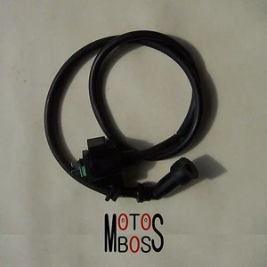 Orignal Ignition Coil Johnny Pag Spyder Raptor 250/300/350 Motorcycle Parts - Imagen 1 de 2