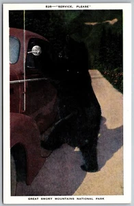 Cartolina Vintage Service Please Black Bear At Car Great Smoky Mountain National Park - Foto 1 di 2
