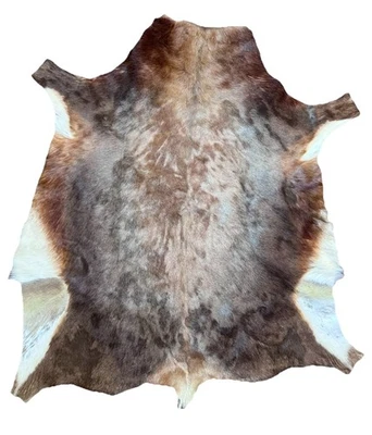 Alfombra de piel de ciervo rojo alfombra de piel de ciervo taxidermia chimenea piel de ciervo decoración corteza... Foto 1 de 4