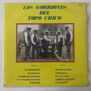 LOS GORRIONES DEL TOPO CHICO - LOS GORRIONES DEL TOPO CHICO - 1989 MEX LP PROMO - Picture 1 of 5