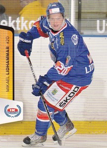 2012-13 City-Press HockeyAllsvenskan #ALLS-195 Mikael Lidhammar IK Oskarshamn