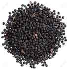 Black Datura Seeds - Kala Dhatura Beej - Datura Stramonium