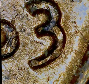 1963 D DDO-001 FS-101 CherryPicker Doubled Die Lincoln Cent DDO - Picture 1 of 3