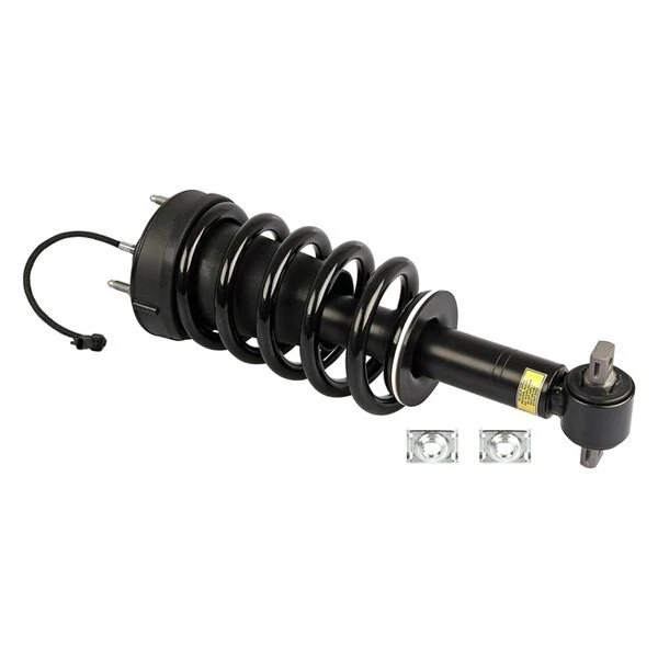 For Chevy Silverado 1500 14-18 Westar Front Driver or Passenger Side Strut - Image 1 of 1