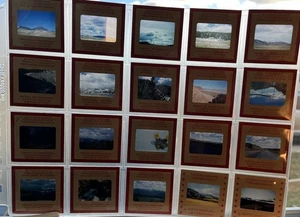 31 diapositive foto vacanze anni 50 parco nazionale Yellowstone montagne Wyoming orso - Foto 1 di 10