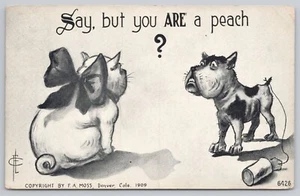 Postkarte Sprich, aber du bist ein Pfirsich? Hunde- und Katzenpaar, FA Moos, Denver CO 1909 - Bild 1 von 2