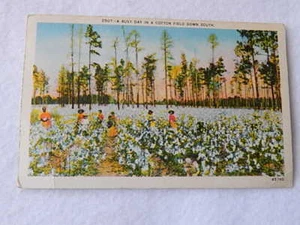 Vintage "A Busy Day in a Cotton Field Down South" -1953-Used - Picture 1 of 3