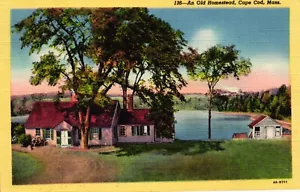 White Border Postkarte Cape Cod, ein altes Gehöft 1915-1930 Pd 1948 - Bild 1 von 2