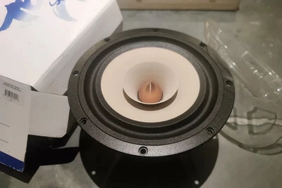 Tang Band W-1808 Neodym 8 Zoll Breitbandtreiber (Neuware) - Bild 1 von 3