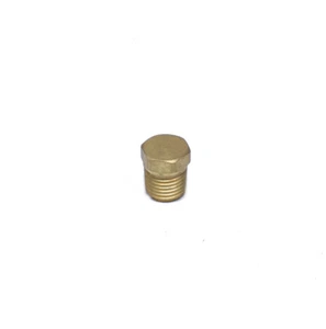 Hex Head Pipe Plug 1/4 Male Npt Brass Fitting Water Oil Gas Cored Hollow body - Picture 1 of 8