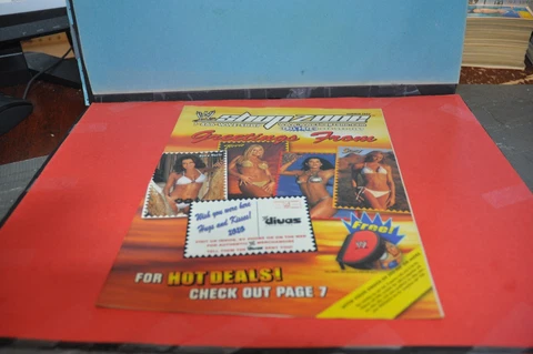 WWe shopzone 2003 & colour poster Terri Runnels wwe women diva wrestling wwf wcw Cover