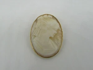 alte hübsche Brosche Anhänger Kamee Kamee Pendant Brooch - Bild 1 von 8