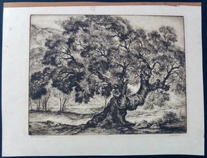 Orpha Klinker "Eiche der goldenen Träume" Radierung signiert, betitelt & nummeriert 18/150 - Bild 1 von 10