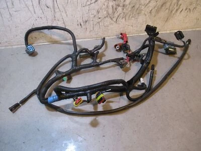 Ski Doo Grand Touring 550 Harness Main 2010 #2 - Image 1 of 4