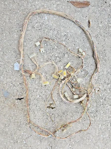1988 PREMIER GOTTLIEB DIAMOND LADY PINBALL BACKBOX WIRING HARNESS SYSTEM 80 B - Picture 1 of 5
