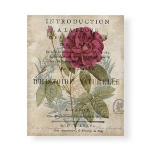 Stampa su Tela su Carta Poster o Quadro Devellier Deborah Botanique I - Imagen 1 de 2