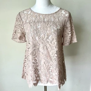 LOFT Blush Pink Floral Lace Sheer Blouse—SZ. XS - Picture 1 of 14