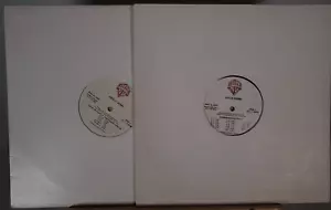 Promotional Holly Dunn LPs the Blue Rose of Texas radio special - Picture 1 of 2