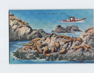 Cartolina Seal Rocks, San Francisco, California - Foto 1 di 2