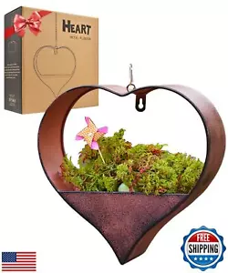 Metal Hanging Planters for Indoor and Outdoor Plants - Heart Shaped Planters - Picture 1 of 5