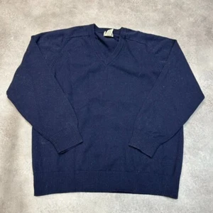 L.L Bean Knitted Jumper Mens Medium 100% Lambs Wool V-Neck Pullover Sweater Navy - Picture 1 of 9