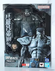FIGURA DE ACCIÓN BANDAI S.H.FIGUARTS YU YU HAKUSHO JOVEN TOGURO 100% 180mm - Imagen 1 de 8