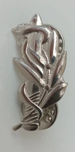 ISRAEL ARMY ZAHAL IDF COMBAT MEDIC PIN BADGE MILITARY - Picture 1 of 2