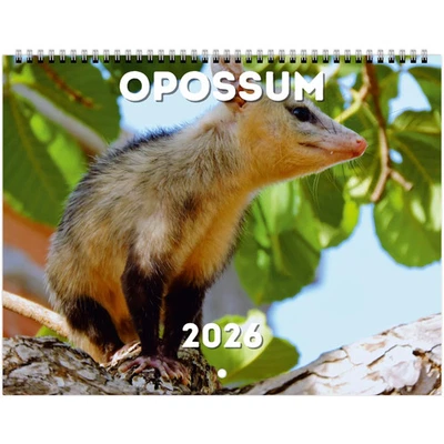Opossum Wall Calendar 2026 - Image 1 of 4