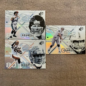 Lote de 3 cartas Upper Deck SPX 2002 Brunell Warrick Gannon - Imagen 1 de 4