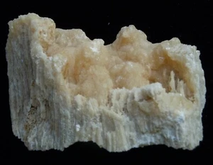 CALCITA PSM CORAL (CA59/37) NUEVO DESCUBRIMIENTO Bohol, Filipinas - Imagen 1 de 6